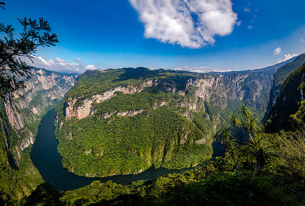 istock View from above the Sumidero Canyon - Chiapas, Mexico 624159046