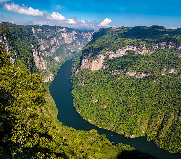 View from above the Sumidero Canyon - Chiapas, Mexico View from above the Sumidero Canyon - Chiapas, Mexico mexico chiapas cañón del sumidero stock pictures, royalty-free photos & images