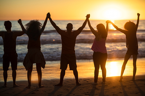 Rear view shot of group of young people with raised arms standing on the beach and looking at sunset