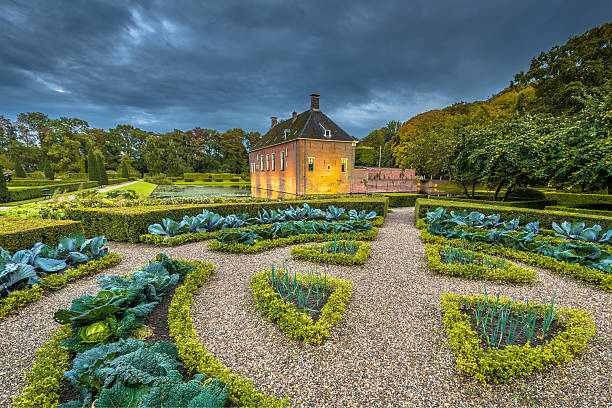 verhildersum cabbage garden - grachtenpand stockfoto's en -beelden