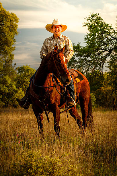 istock Horseback rider at sunset 624172100