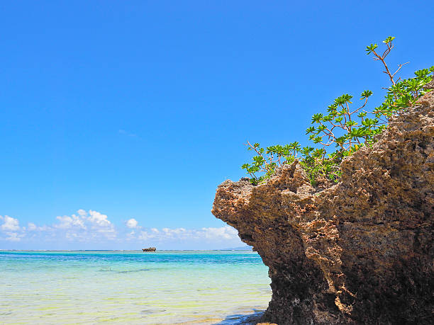 istock Kabira Bay Ishigaki Island, Japan 624172688