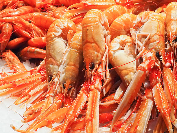 istock Fresh Shrimp in Spain market 624178550