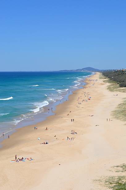 istock Queensland beach with white sand and blue ocean 624178834