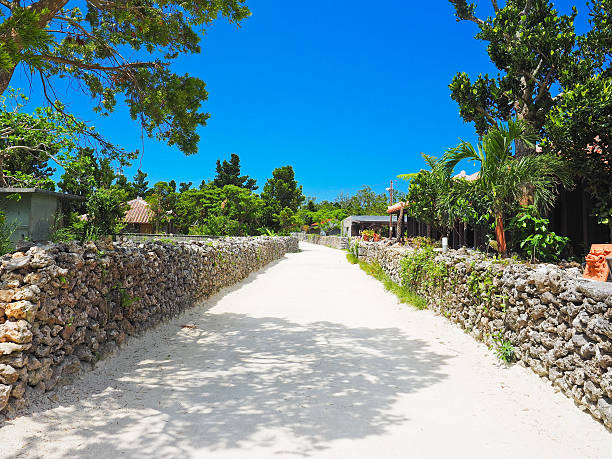 città di taketomi della prefettura di okinawa - okinawa prefecture foto e immagini stock