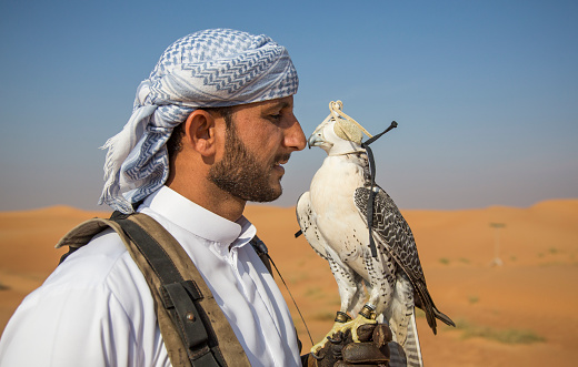 Dubai, United Arab Emirates - November 19, 2016: Dubai, UAE, November 19th, 2016: A falconer training a Peregrine Falcon (Falco peregrinus) in a desert