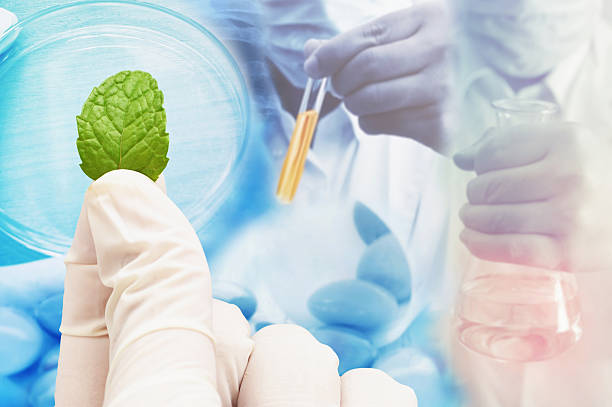 istock herbal medicine research product at science lab 624181518