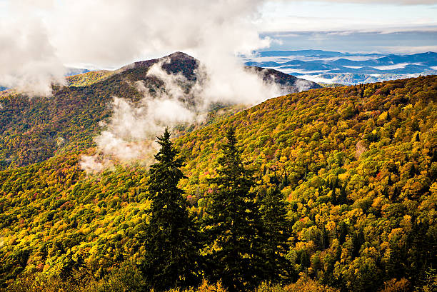 parque nacional de las grandes montañas humeantes - great smoky mountains great smoky mountains national park gsmnp oconaluftee fotografías e imágenes de stock