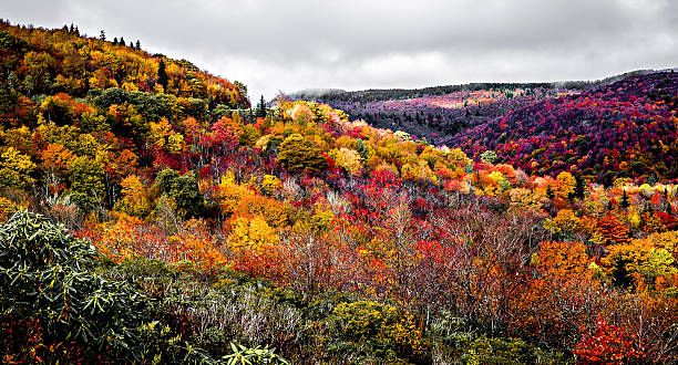 istock Graveyard Fields on the Blue Ridge Parkway in autumn 624182586