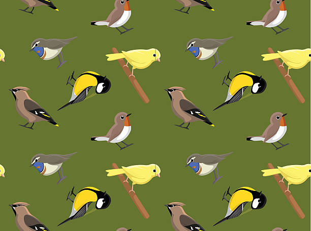 Random European Birds Wallpaper 1 Animal Wallpaper EPS10 File Format bluethroat stock illustrations