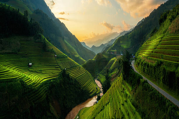 Terraced rice field in Mu Cang Chai, Vietnam Terraced rice field landscape near Sapa in Vietnam. Mu Cang Chai Rice Terrace Fields stretching across the mountainside, layer by layer reaching up as endless, with about 2,200 hectares of rice terraces, of which 500 hectares of terraces of 3 communes such as La Pan Tan, Che Cu Nha and Ze Xu Phinh. yên bái stock pictures, royalty-free photos & images