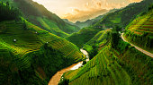 istock Terraced rice field in Mu Cang Chai, Vietnam 624183176