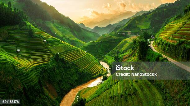 Terraced Rice Field In Mu Cang Chai Vietnam Stock Photo - Download Image Now - Vietnam, Landscape - Scenery, Asia