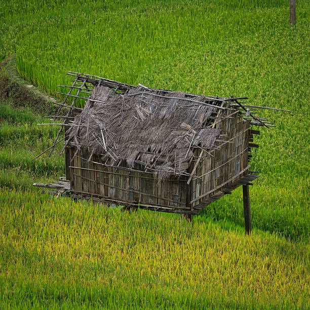 Scenic view village and  Yuanyang rice terraces in China