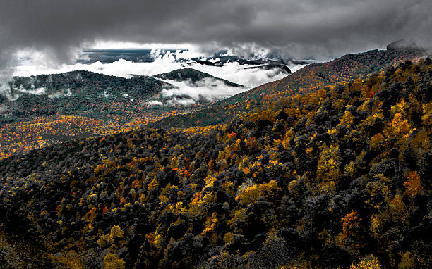 национальный парк грейт смоки маунтинс - great smoky mountains great smoky mountains national park gsmnp oconaluftee стоковые фото и изображения