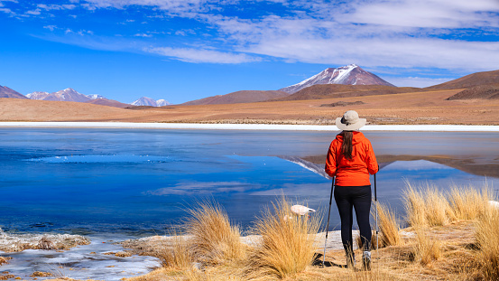 Female tourist looking at Laguna Canapa in Bolivia. The Altiplano (Spanish for high plain), in west-central South America, where the Andes are at their widest, is the most extensive area of high plateau on earth outside of Tibet. Lake Titicaca is its best known geographical feature. The Altiplano is an area of inland drainage (endorheism) lying in the central Andes, occupying parts of Northern Chile and Argentina, Western Bolivia and Southern Peru. Its height averages about 3,750 meters (12,300 feet), slightly less than that of Tibet. Unlike the Tibetan Plateau, however, the Altiplano is dominated by massive active volcanoes of the Central Volcanic Zone to the west like Ampato (6288 m), Tutupaca (5816 m), Nevado Sajama (6542 m), Parinacota (6348 m), Guallatiri (6071 m), Cerro Paroma (5728 m), Cerro Uturuncu (6008 m) and Licancabur (5916 m), and the Cordillera Real in the north east with Illampu (6368 m), Huayna Potosi (6088 m), Ancohuma (6427 m) and Illimani (6438 m). The Atacama Desert, one of the driest areas on the whole planet, lies to the southwest of the Altiplano. In contrast, to the east lies the humid Amazon Rainforest.http://bhphoto.pl/IS/bolivia_380.jpg