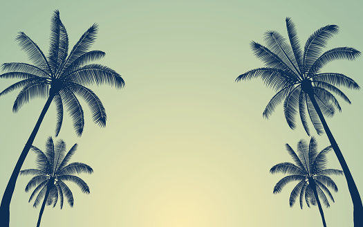 Silhouette palm tree in flat icon design with vintage filter background (vector)