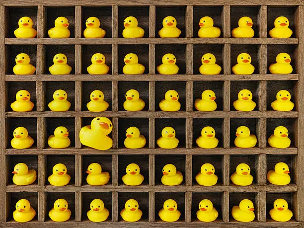 Photo of Small rubber ducks in pigeon holes, one extra large duck.