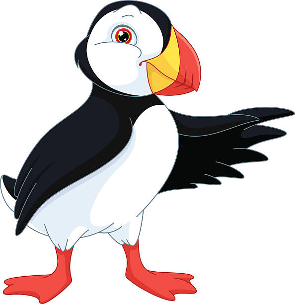 Atlantic Puffin North bird on a white background puffin stock illustrations