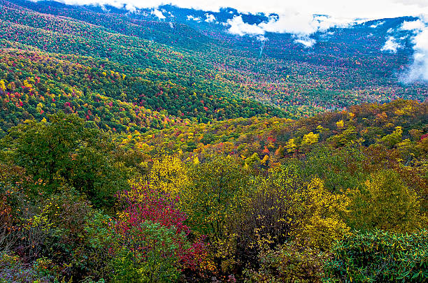 parque nacional de las grandes montañas humeantes - great smoky mountains great smoky mountains national park gsmnp oconaluftee fotografías e imágenes de stock