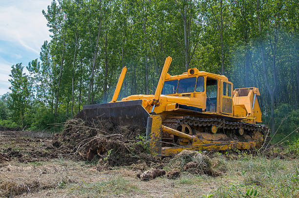 Bulldozer. Eradicating forest. Preparation for planting trees. Eradicating forest with a bulldozer. only land stock pictures, royalty-free photos & images