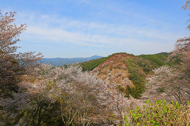 istock Yoshinoyama, Nara, Japan at the spring 624217134