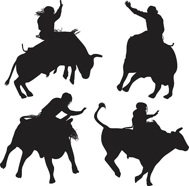 illustrazioni stock, clip art, cartoni animati e icone di tendenza di toro da cowboy - rodeo bull bull riding cowboy