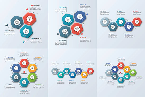 ilustrações de stock, clip art, desenhos animados e ícones de set of business infographic templates with 3-8 steps - drawing diagram business cycle