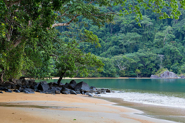 istock Beautiful dream paradise beach, Madagascar 624248962