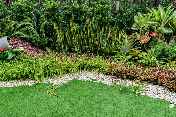 istock Part of green garden 624249872