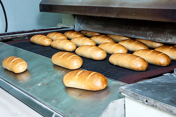 istock Bread bakery, factory with fresh food 624262848