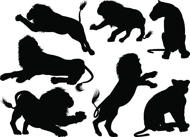 Vector illustration of Silhouette Lions