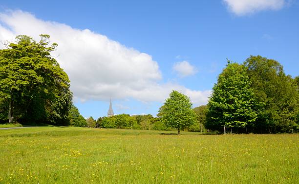istock Killarney National Park, County Kerry, Ireland 624264512