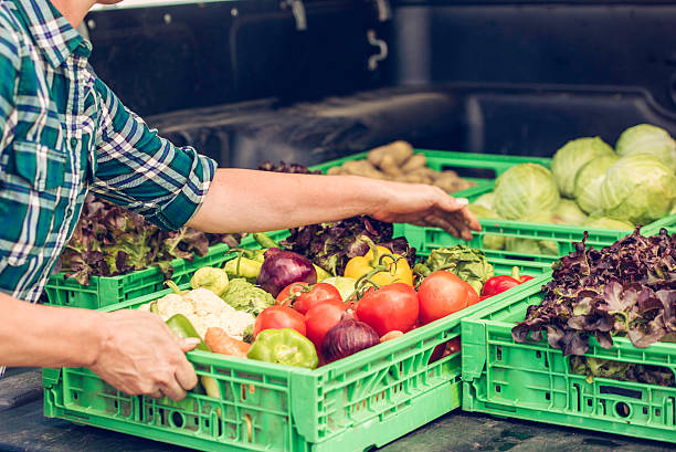 ящики свежих овощей - farmer salad стоковые фото и изображения