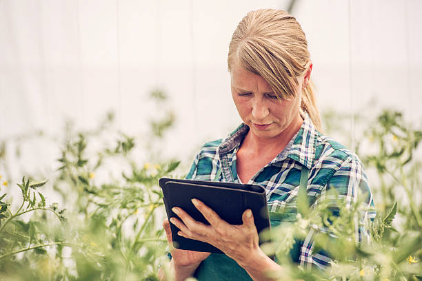 istock Woman with digital tablet 624265892