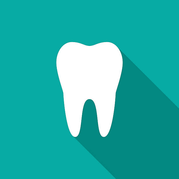 zahnsymbol mit langem schatten. - human teeth dental hygiene dentist office human mouth stock-grafiken, -clipart, -cartoons und -symbole