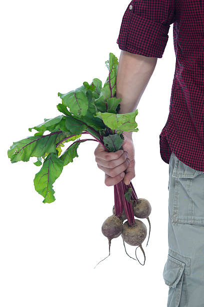 istock farmer carries beet harvest rear view 624266604