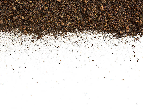 istock Dirty earth on white background. Natural soil texture 624267958