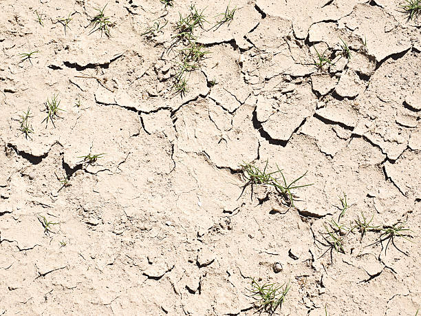istock Wilderness in Bolivia 624268410