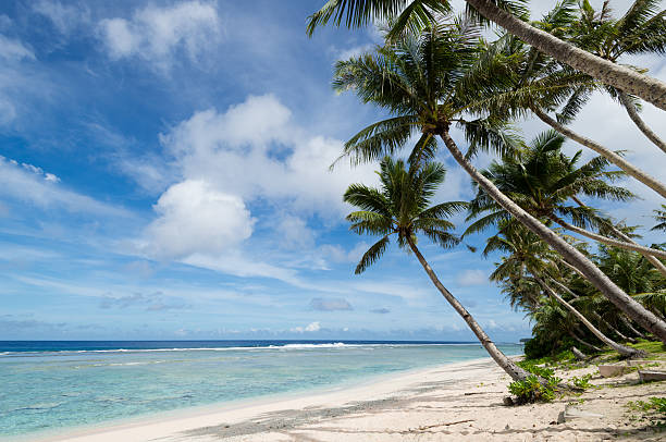 Coco Palm Garden Beach in Guam, USA Coco Palm Garden Beach in Guam, USA. There are palm trees and white sand on the beach contiguous to the coral reef with transparent water. The beach is one of the most famous tourist attractions in Guam. guam stock pictures, royalty-free photos & images