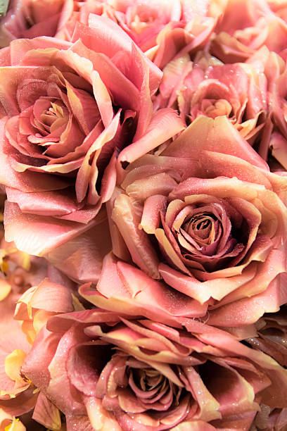 istock Background consists of fake roses. 624283128