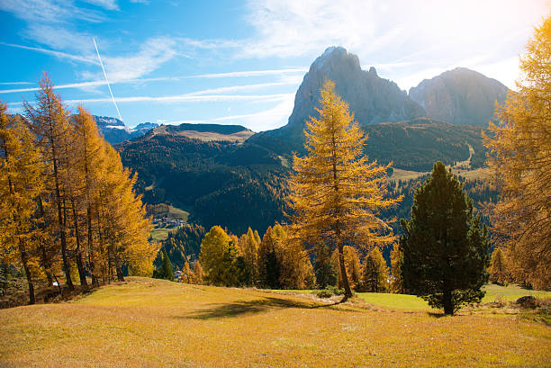 istock Fantastic autumn landscape with yellow larch in a sunny day. 624287208