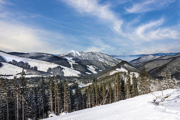 istock Winter Tatry landscape, forest, Slovakia 624289666