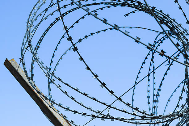 istock Barbed wire on the fence 624354634