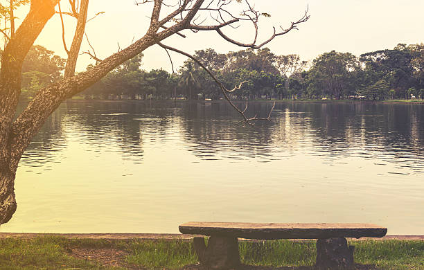 istock Empty bench at a lake on a cloudy day in tropical 624354986