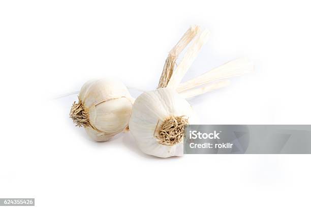 Two White Onion On White Stock Photo - Download Image Now - Bunion, Cut Out, Focus on Shadow