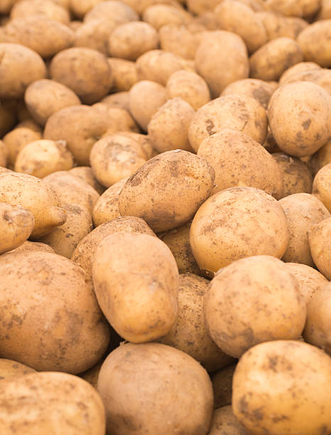 istock Fresh potatoes. Potatoes in the market. 624355988