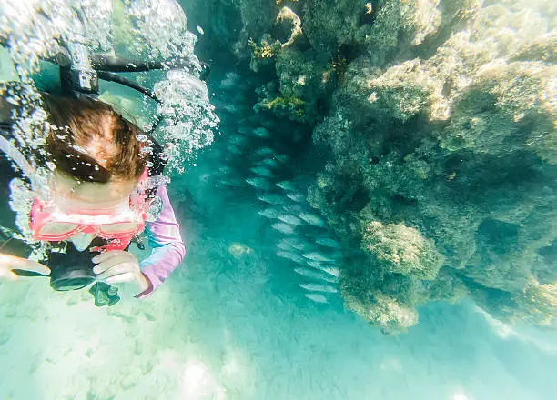 A DSLR Canon underwater photo of a 8-year-old girl scubadiving in Maragogi beach, Alagoas, Northeastern Brazil. The camera is in a high angle view while the girl is passing over a a reef where there are a large school of silver fishes hiding beneath it.