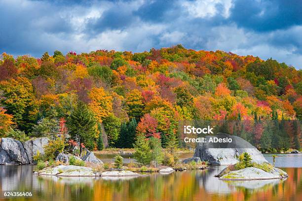 Autumne Stock Photo - Download Image Now - Active Lifestyle, Activity, Adventure
