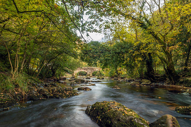 Landscape depicting the beautiful meandering River Teign on a bright Autumn day. Image taken at Steps Bridge near Dunsford in the Dartmoor National Park, Devon, England.